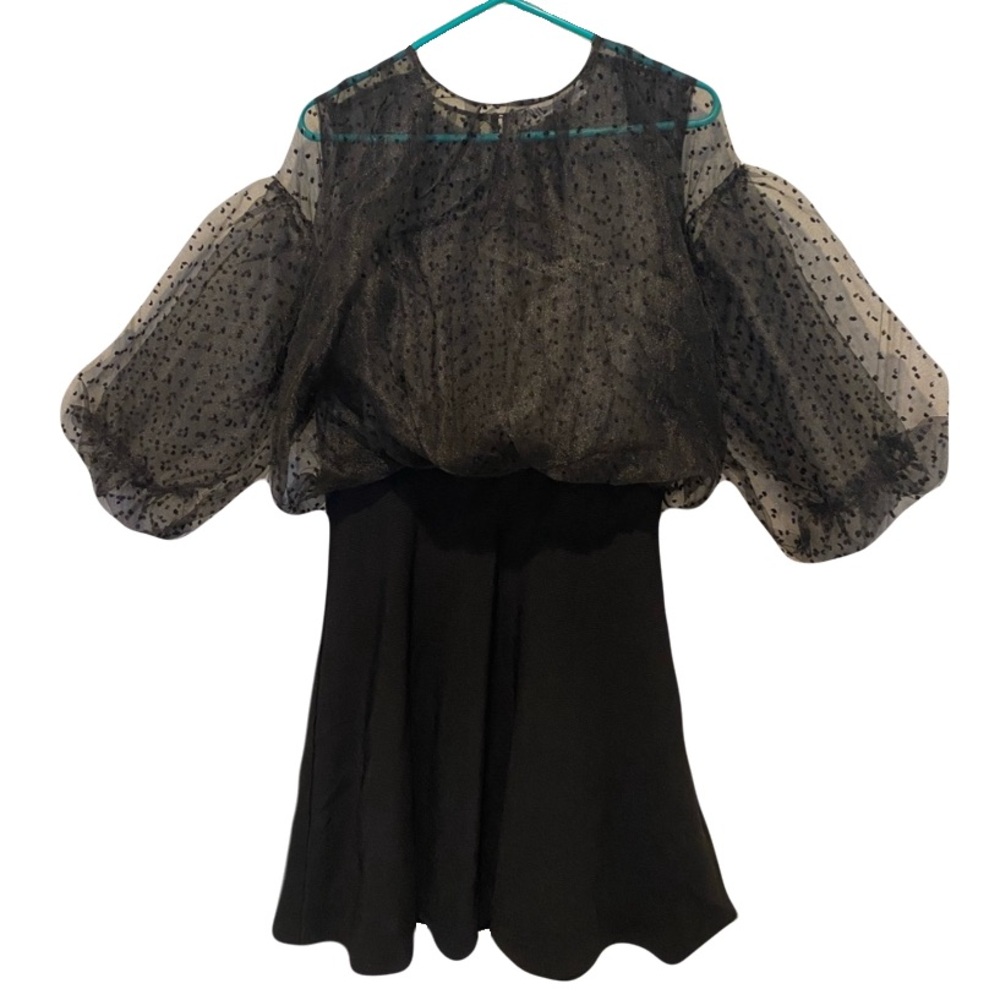 Zara Sheer Black Polka Dot Puff Sleeve Dress Swiss Dot